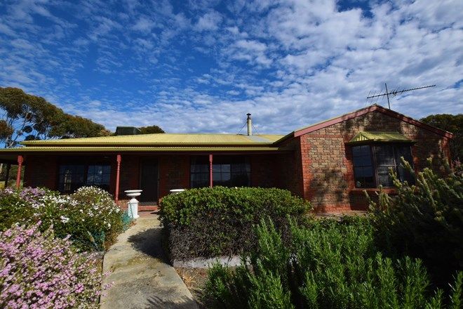 Picture of 142 Rhynne road, BAY OF SHOALS SA 5223