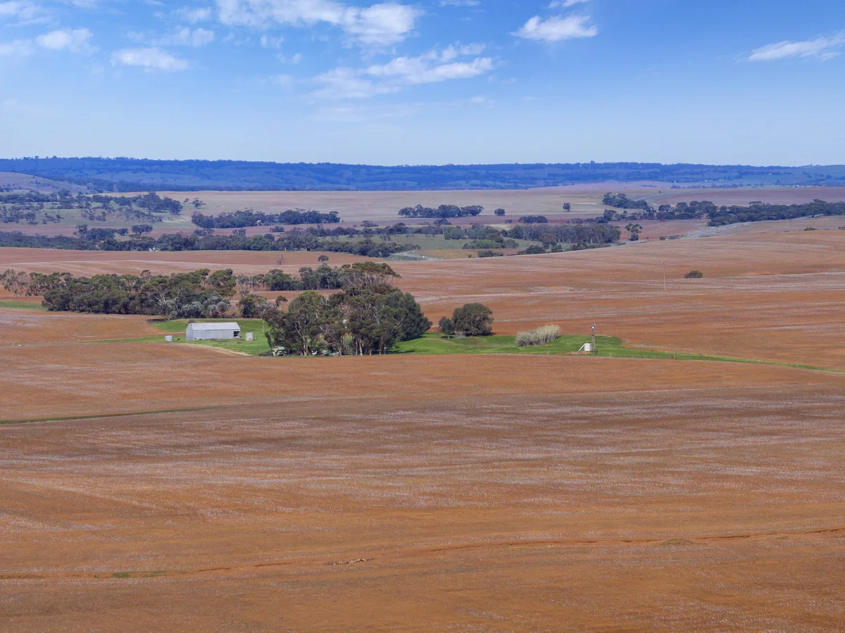 Image 13