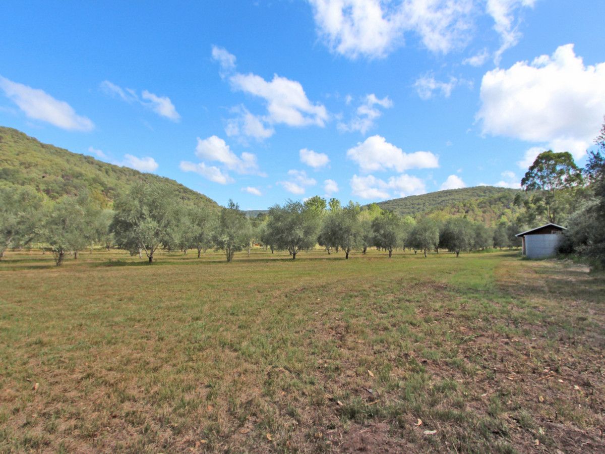 1855 Wollombi Road, Sweetmans Creek NSW 2325, Image 1