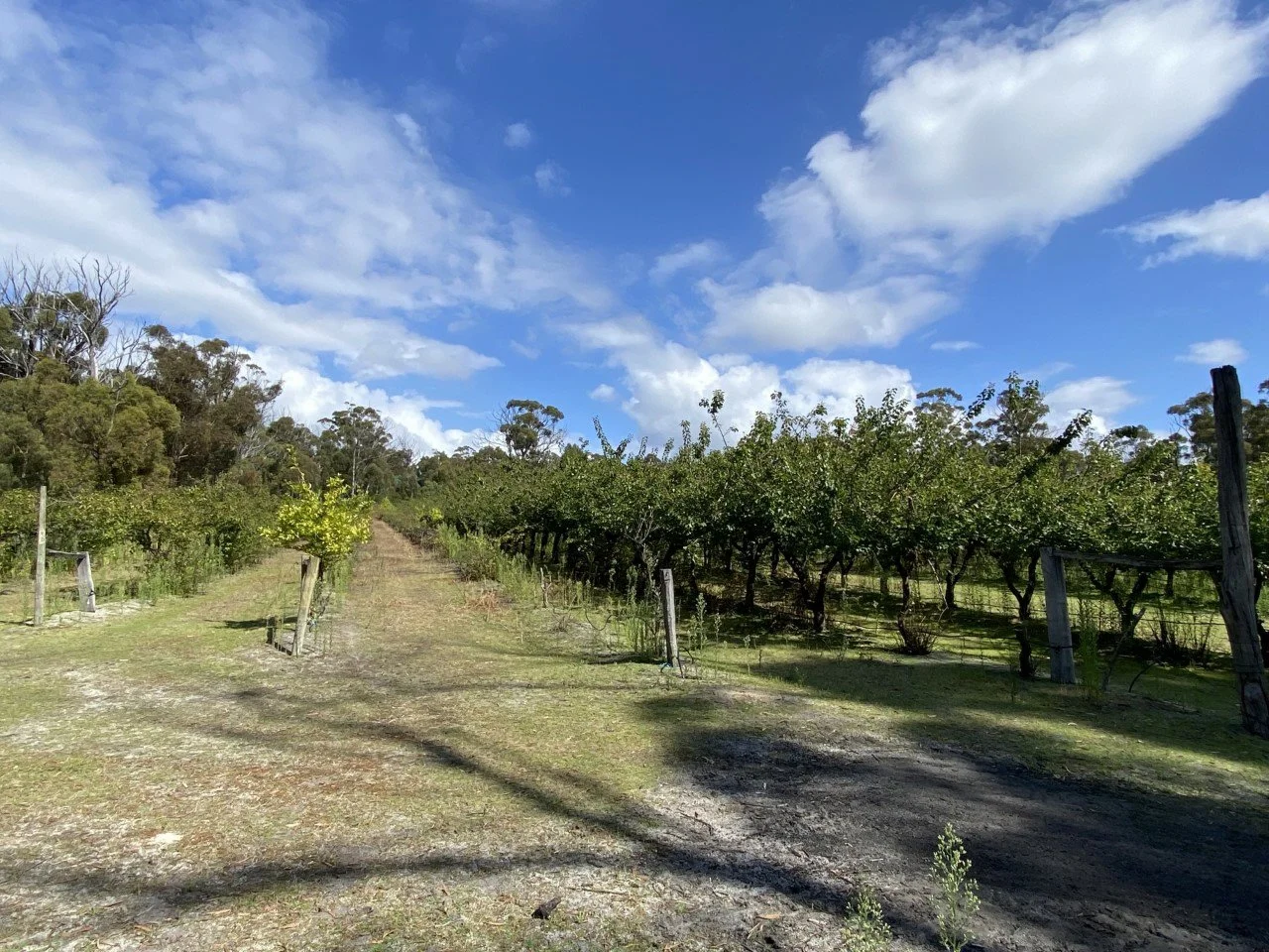 Image 12