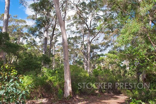 82 Colyer Drive, HAMELIN BAY WA 6288, Image 1