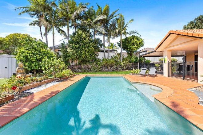 Picture of 6 Mintwood Place, MOLENDINAR QLD 4214