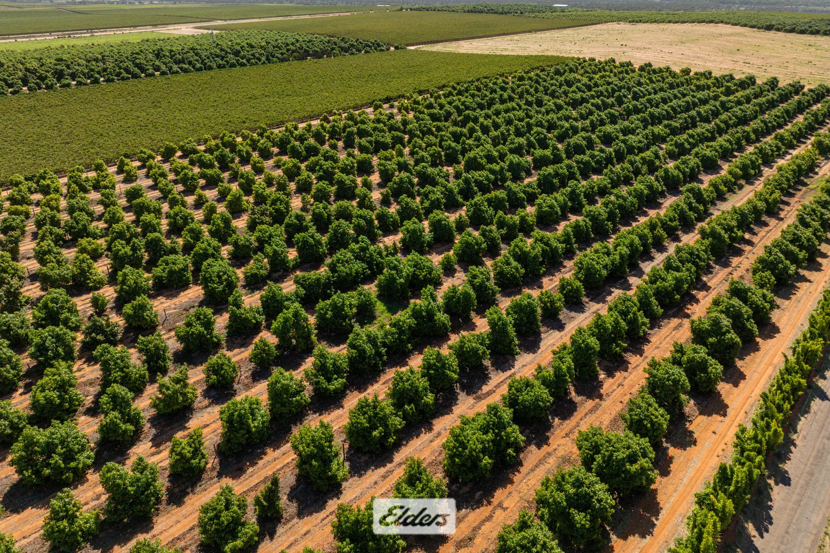 Additional image 49 of 135 Red Hill Road, Pomona NSW 2648