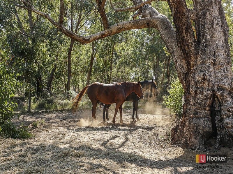 72 Emerald Drive, Carabooda WA 6033, Image 0