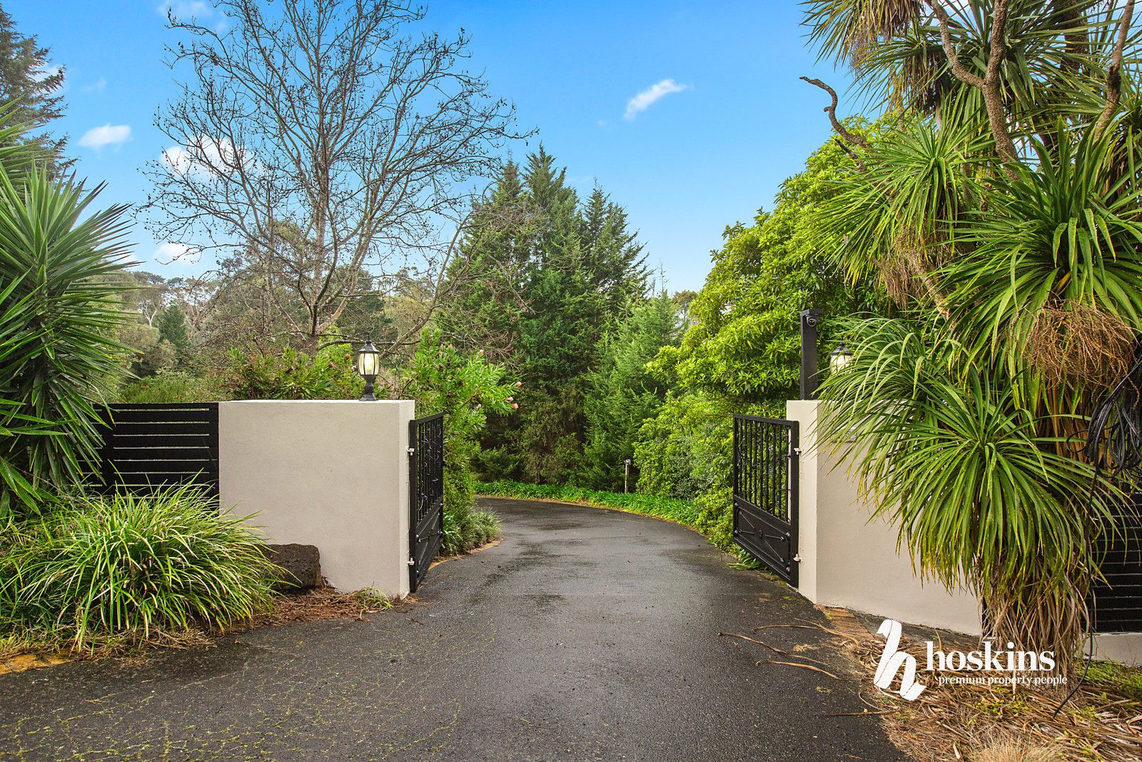 1 Daniel Court, Park Orchards VIC 3114, Image 2