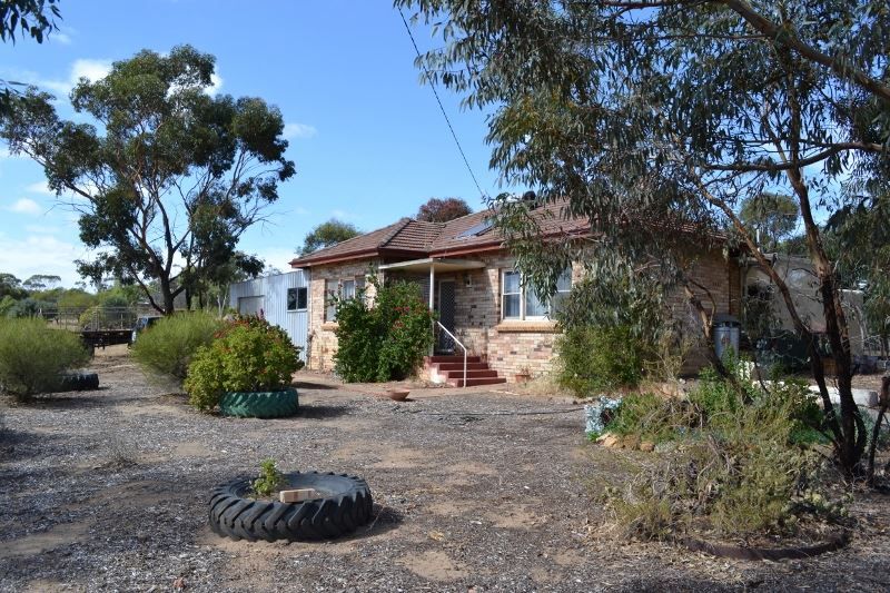 43 Yilgarn Street, Cunderdin WA 6407, Image 0