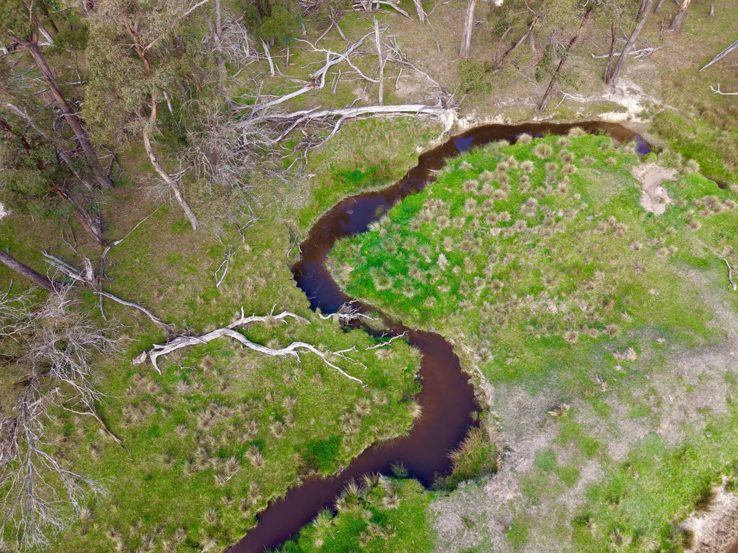 Additional image 13 of 383 Mozart Road, Mozart NSW 2787