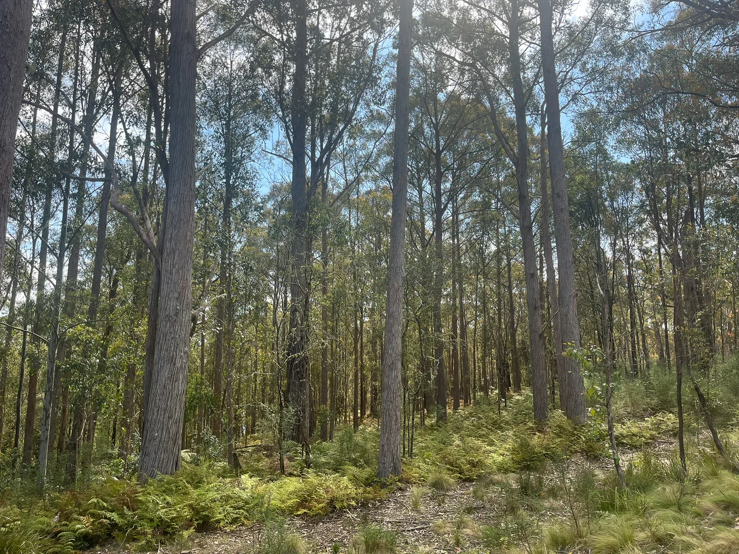Image 13