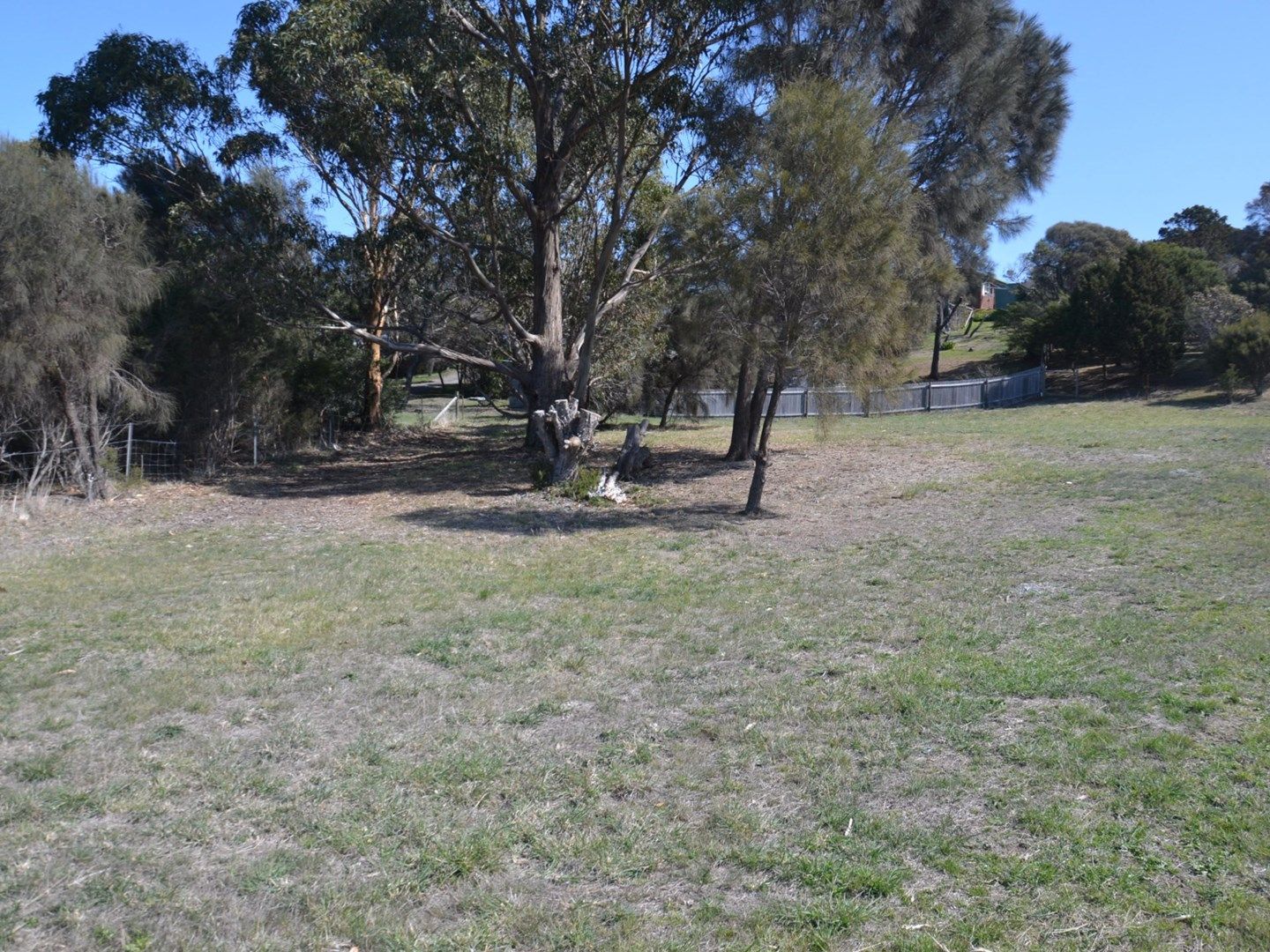 11 Patsy Court, Coles Bay TAS 7215, Image 1