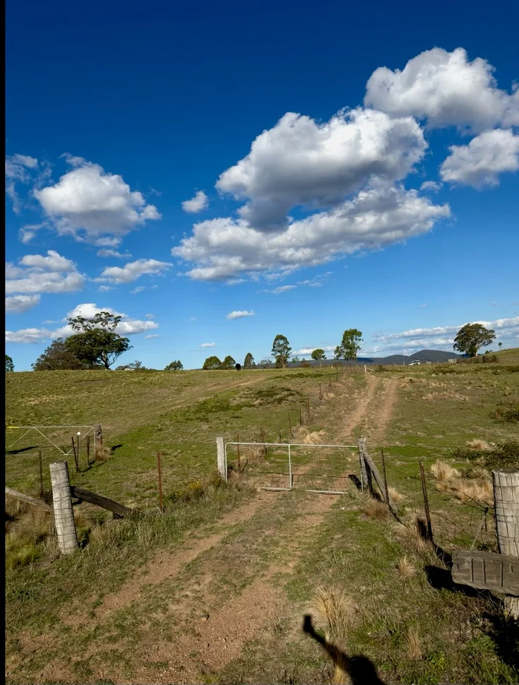 Additional image 3 of 1175 Razorback Road, Mudgee NSW 2850