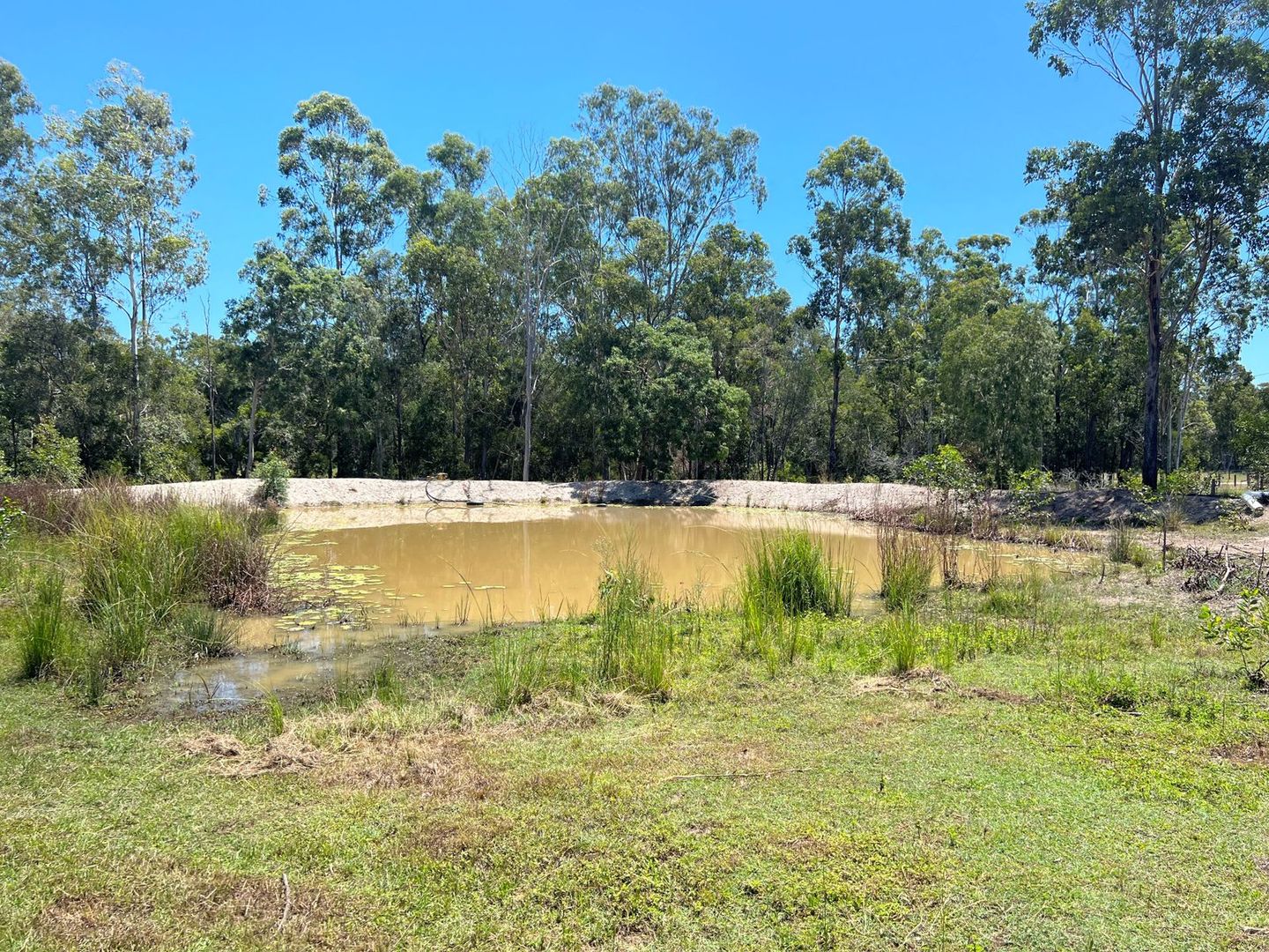 L50 Goodwood Road, Abington QLD 4660, Image 2