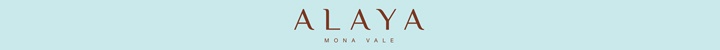 Branding for Alaya