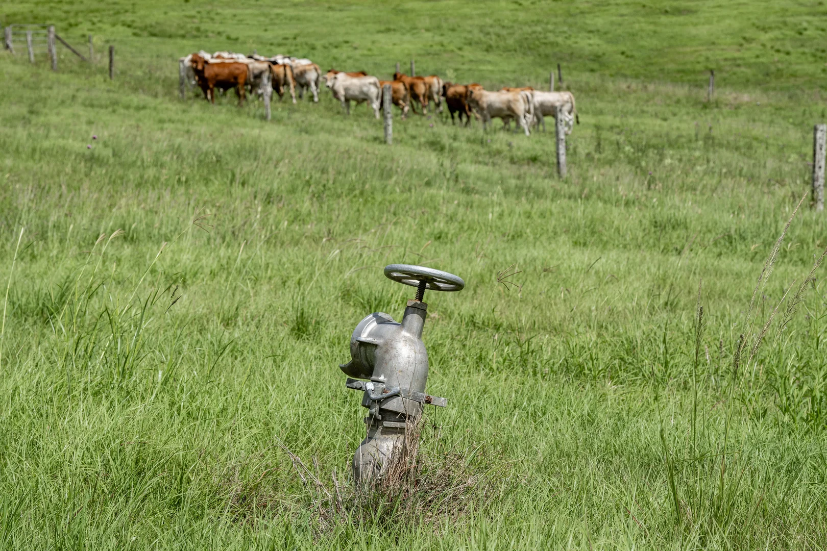 Additional image 32 of 75 Kajarabie Road, Lagoon Pocket QLD 4570