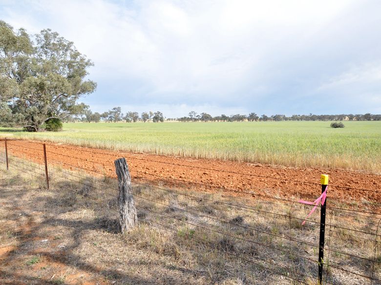 Lot 196 Broad Street, Old Junee NSW 2652, Image 1