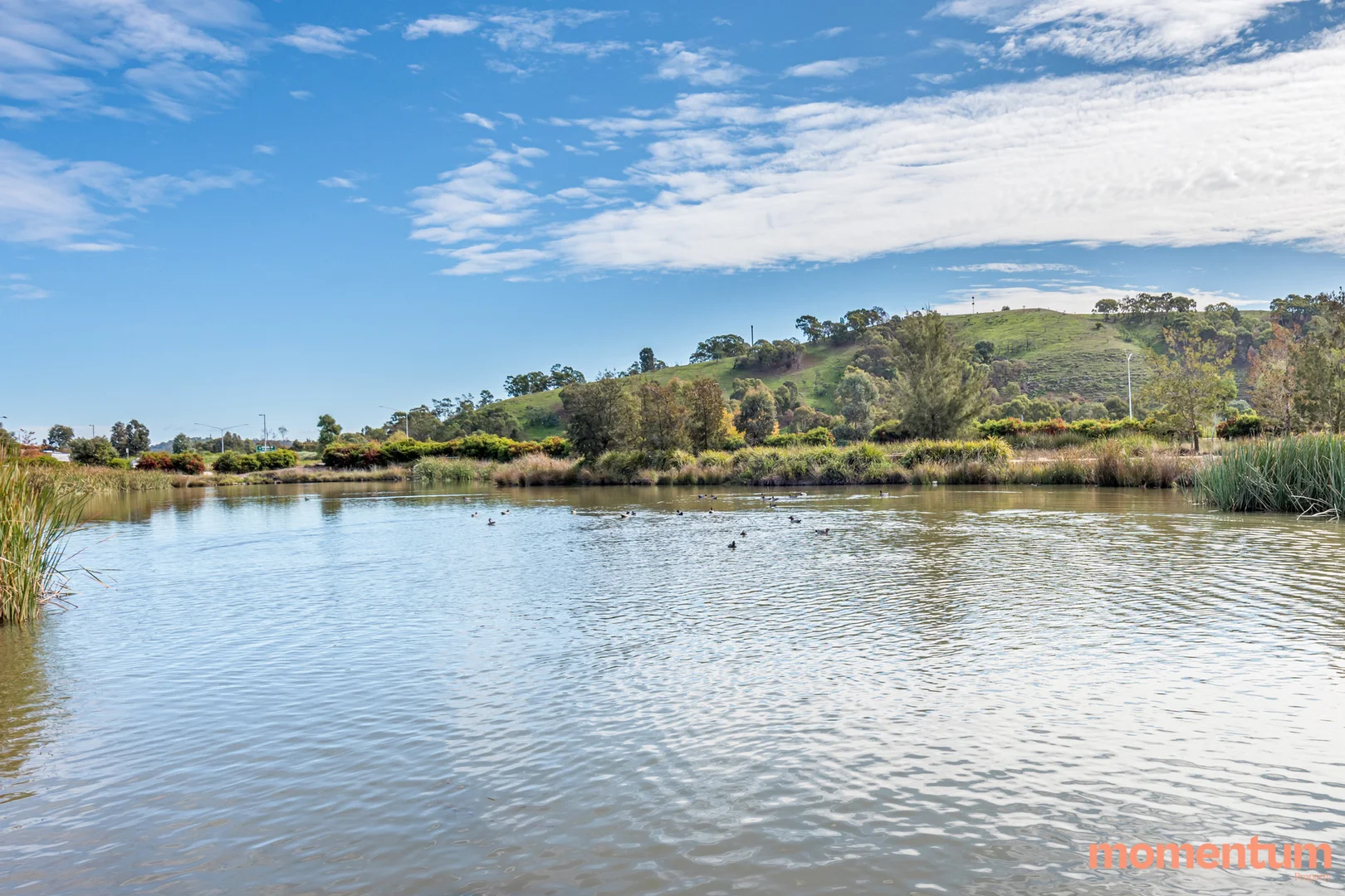 Additional image 35 of 18 Zanci Street, Crace ACT 2911