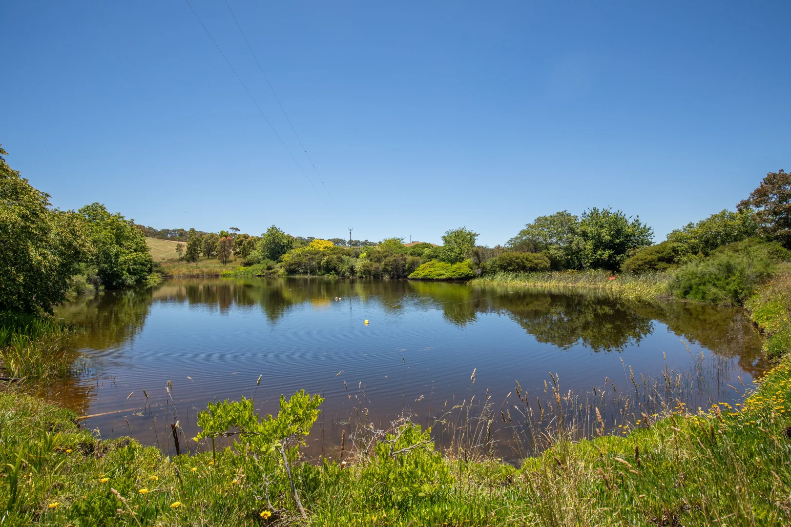 Additional image 28 of 315 Bugle Range Road, Macclesfield SA 5153