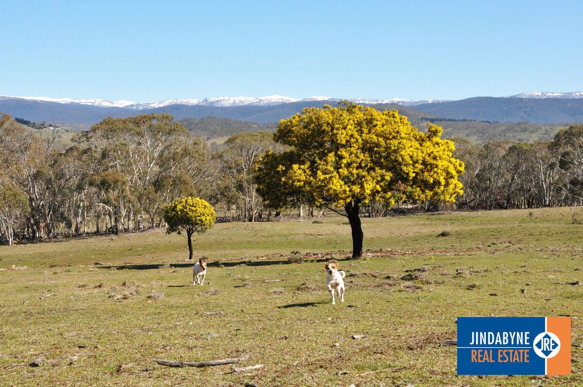 Lot 1, "Glaughan", Thornybush Road, Jindabyne NSW 2627, Image 1