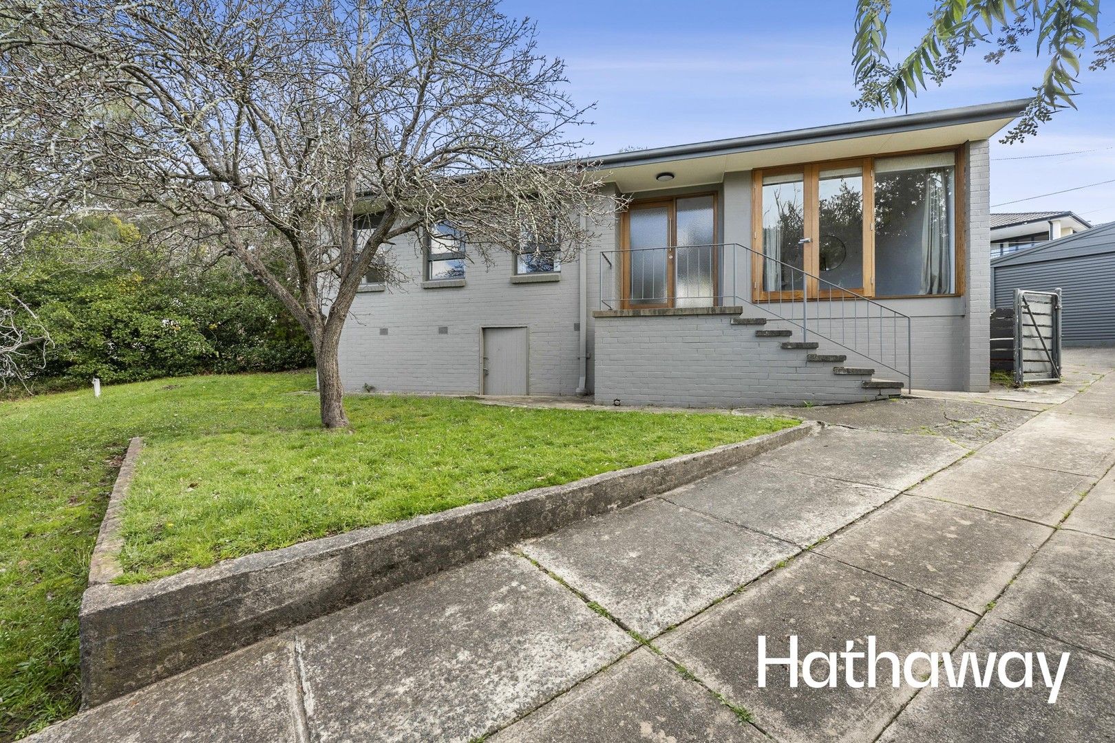 19 Lutana Street, Lyons ACT 2606 House For Rent Domain