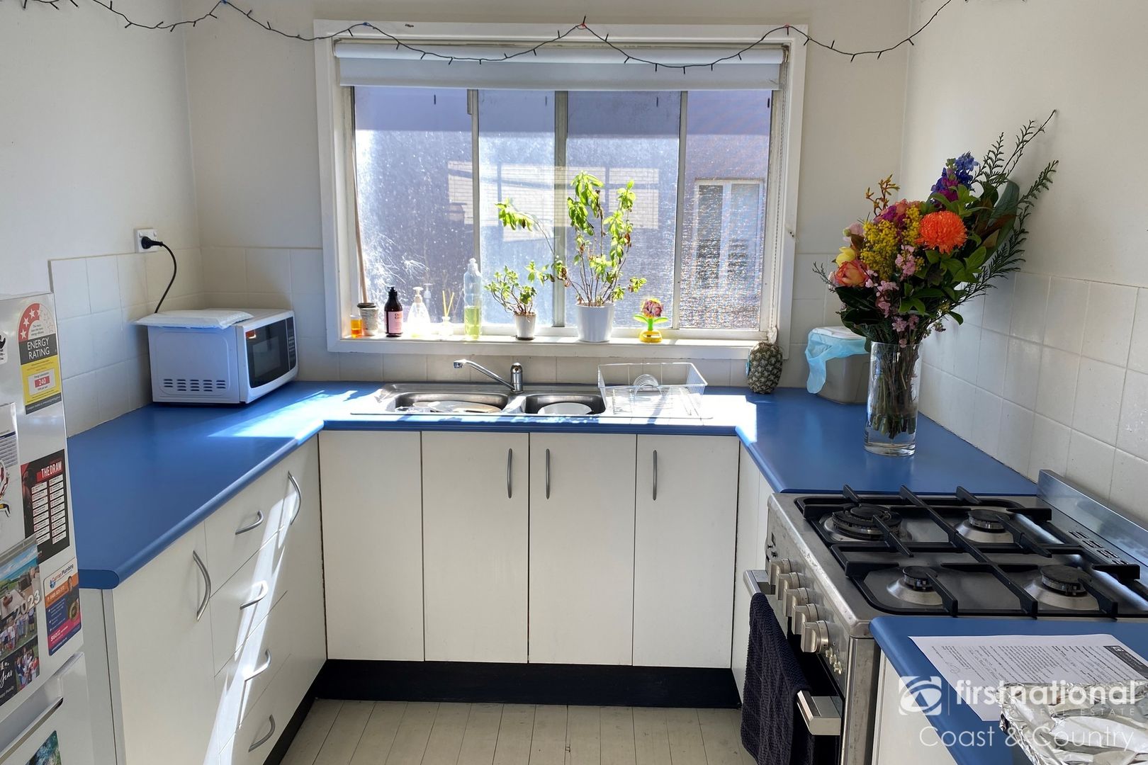 2/50 Stafford Street, Gerroa NSW 2534 Apartment For Rent Domain