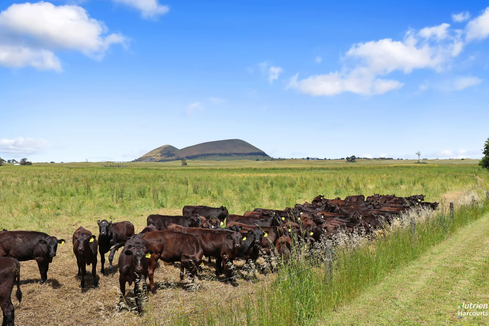 Additional image 7 of 404 Chatsworh Road, Derrinallum VIC 3325