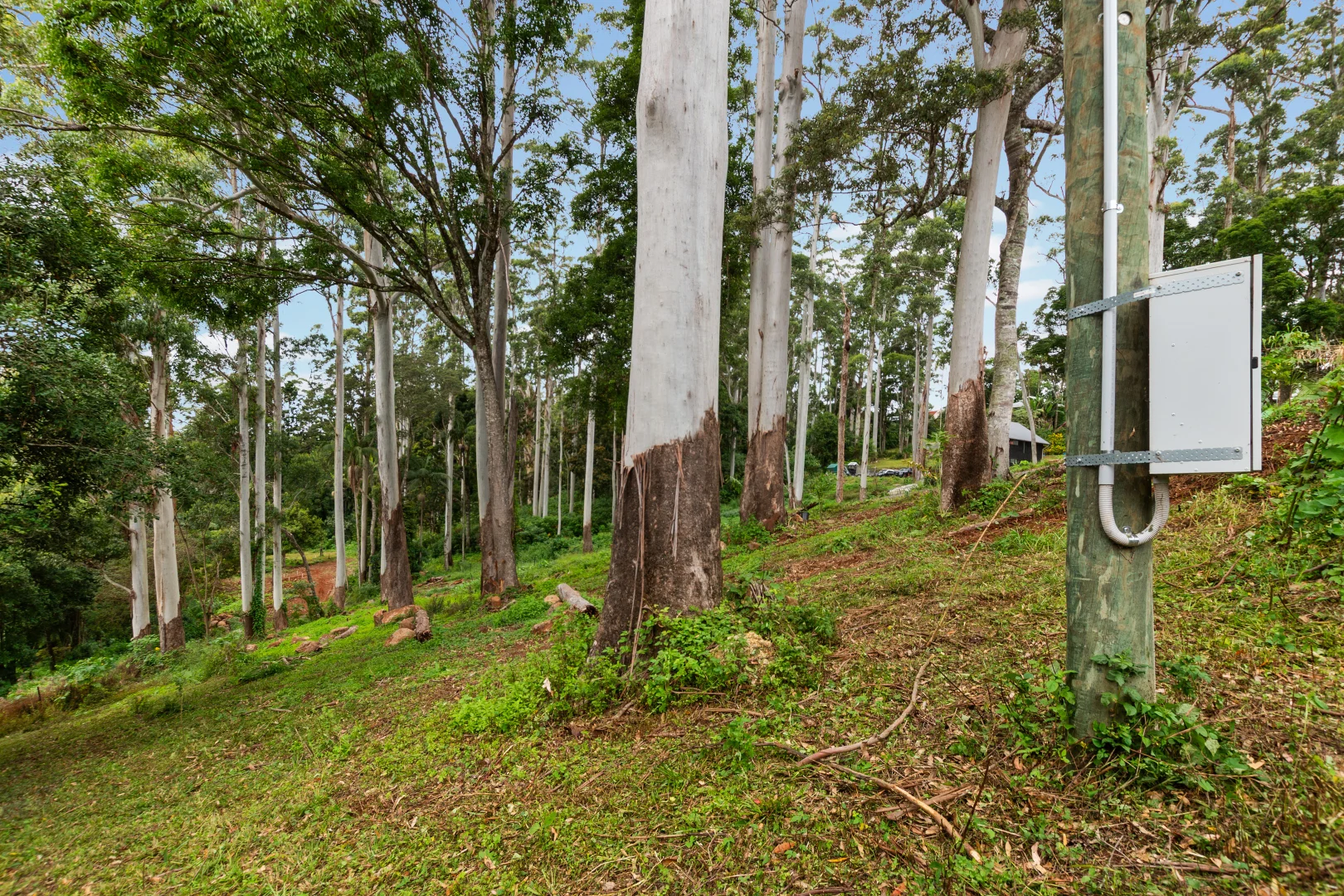 Additional image 6 of 78 Long Road, Tamborine Mountain QLD 4272