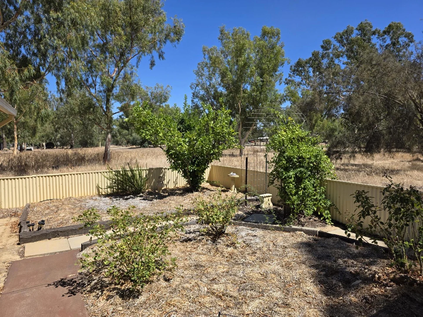 Image 6