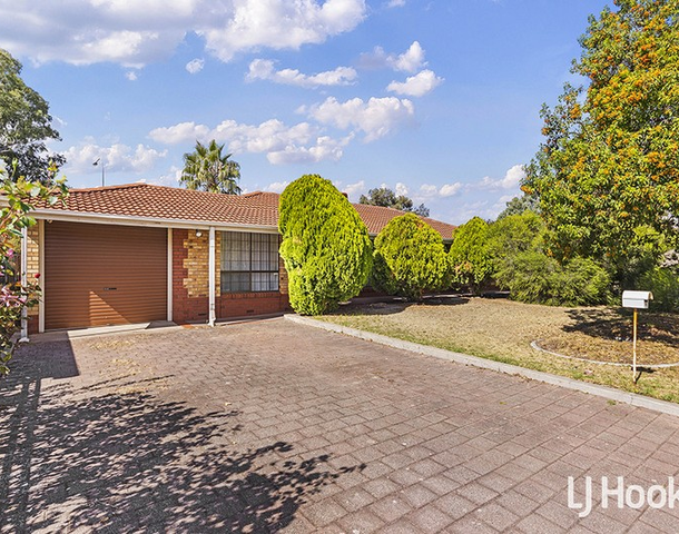 1 Orange Grove Circuit, Dernancourt SA 5075