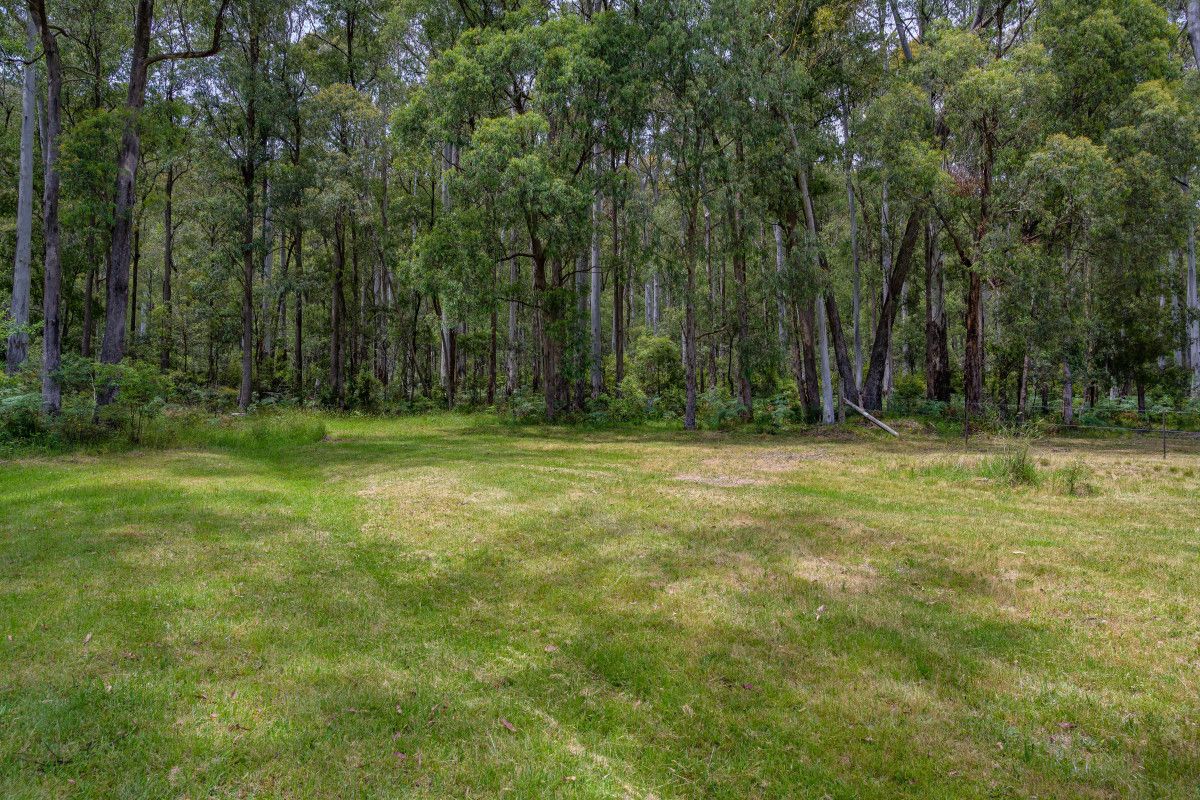 23 Dredge Hole Lane, Harrietville VIC 3741, Image 1