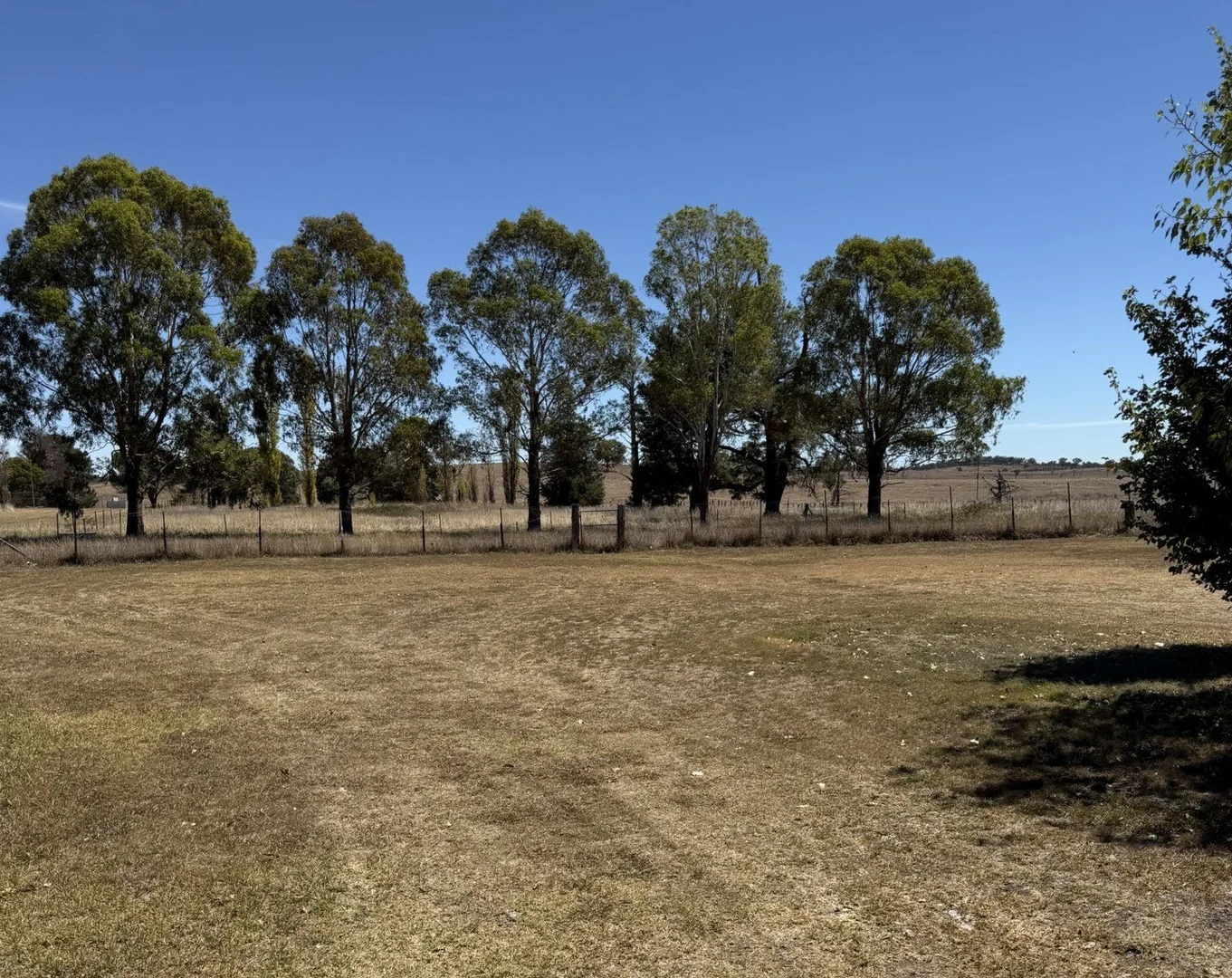 Additional image 4 of 41 Alice Street, Deepwater NSW 2371