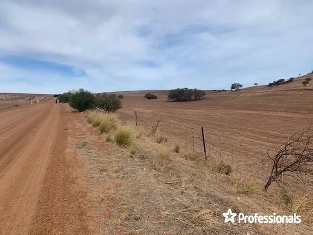 66 Chintapee Road, Bringo WA 6532, Image 2