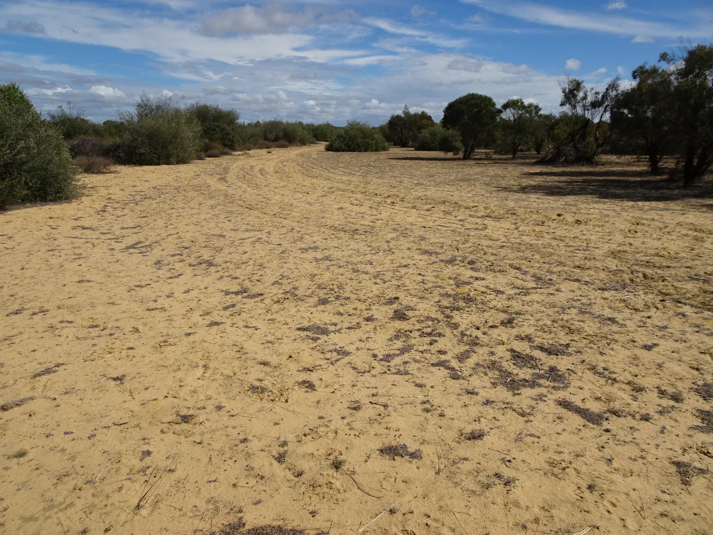 Image 12
