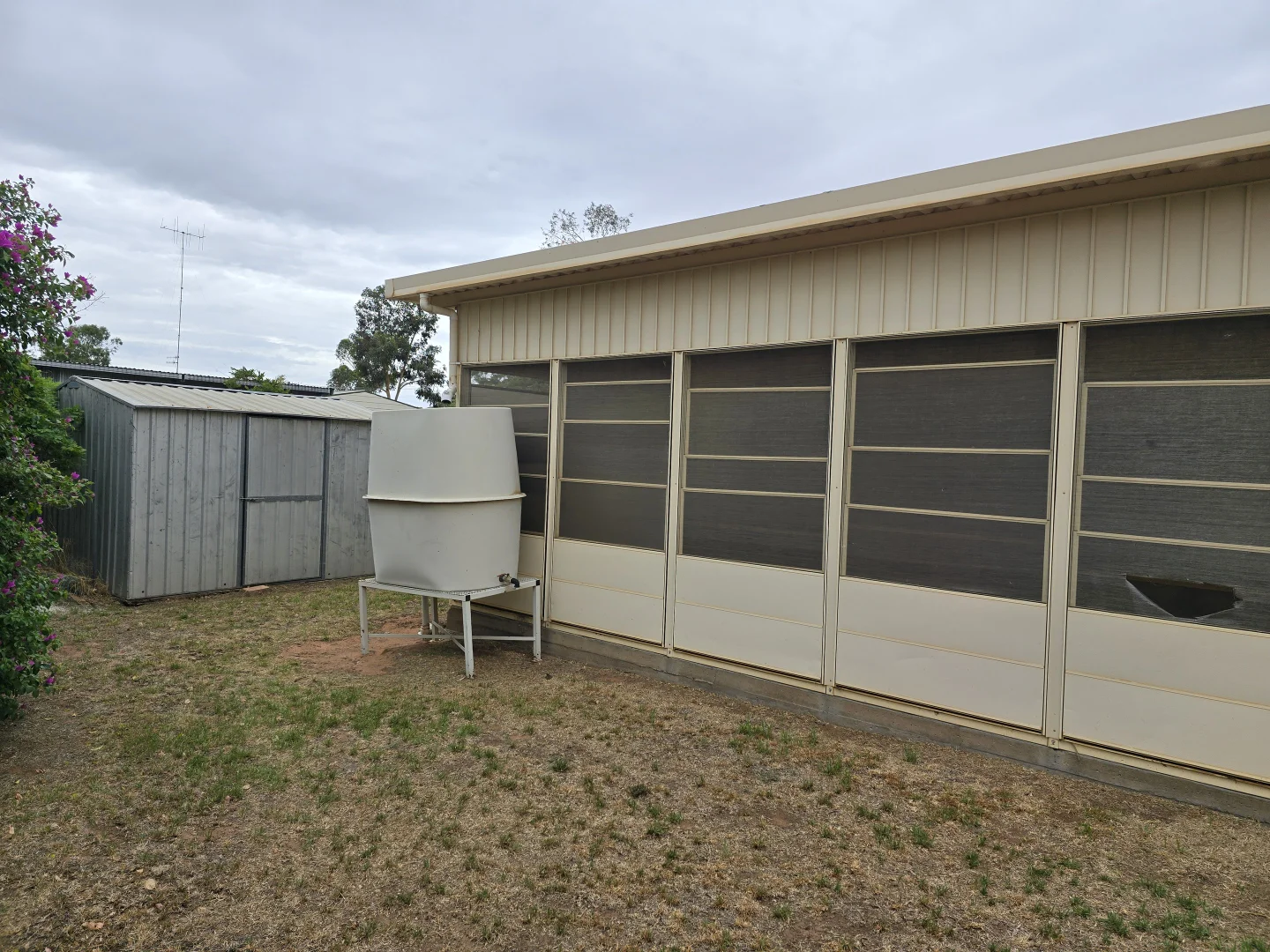 Additional image 6 of 101 ORANGE STREET, Condobolin NSW 2877