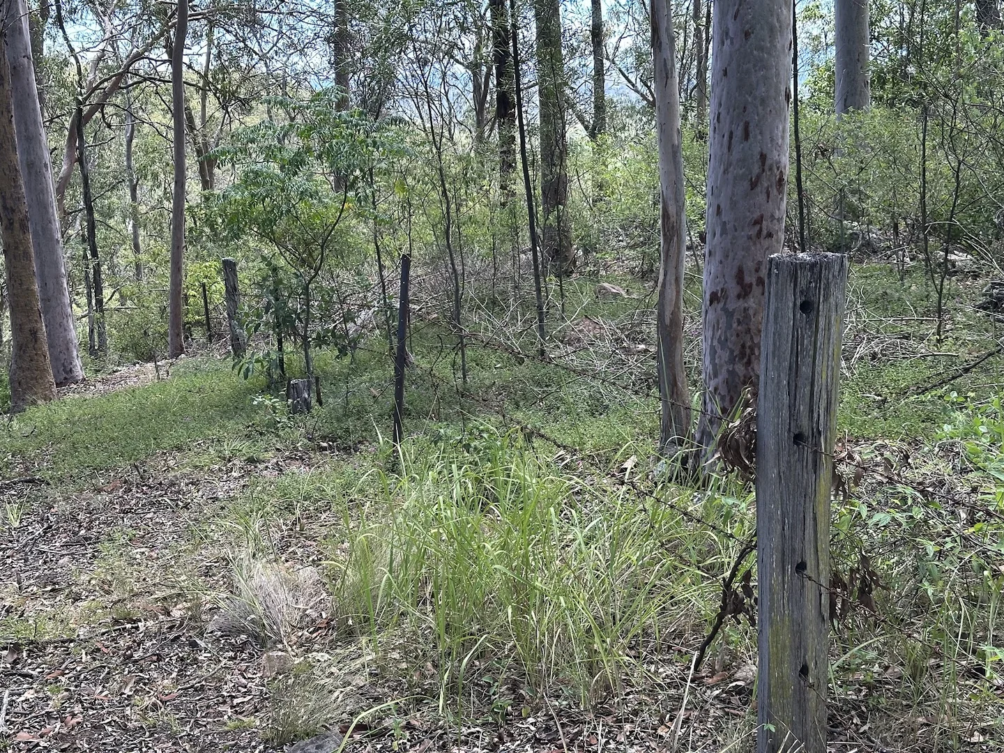 Additional image 17 of 142 Highland Street, Esk QLD 4312