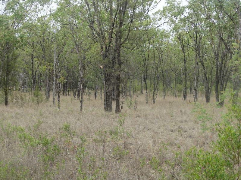 Lot 1 Banana Bridge Road, Kogan QLD 4406, Image 1