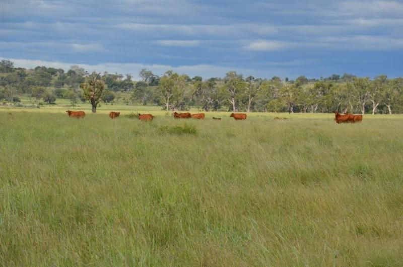 OAKEY QLD 4401, Image 2