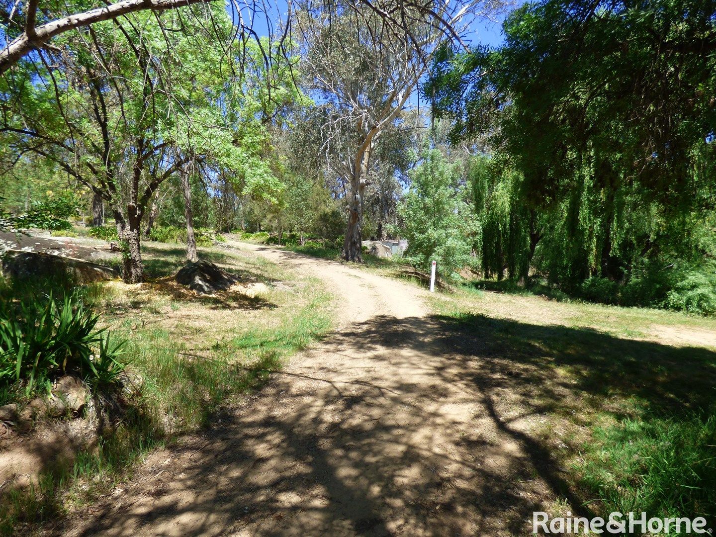 120 Ratho Road, Young NSW 2594, Image 0