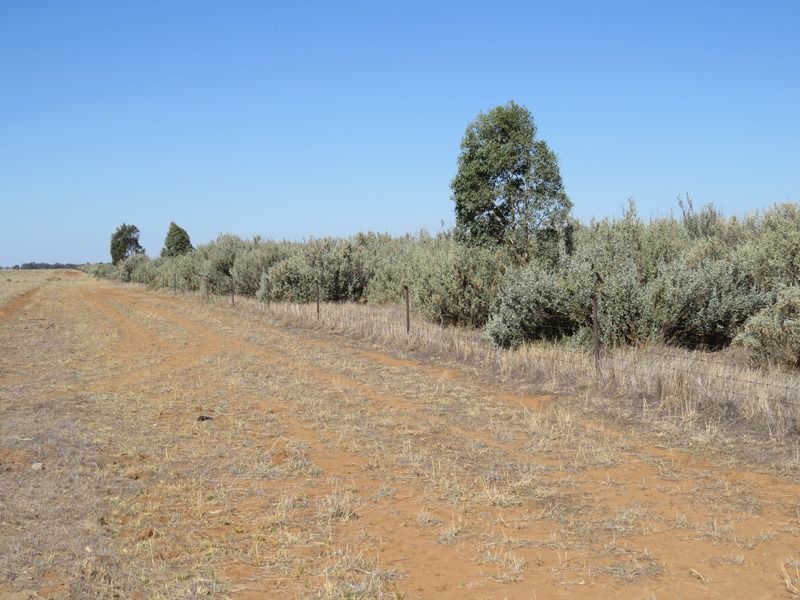 Part Nunkeri, Deniliquin NSW 2710, Image 0