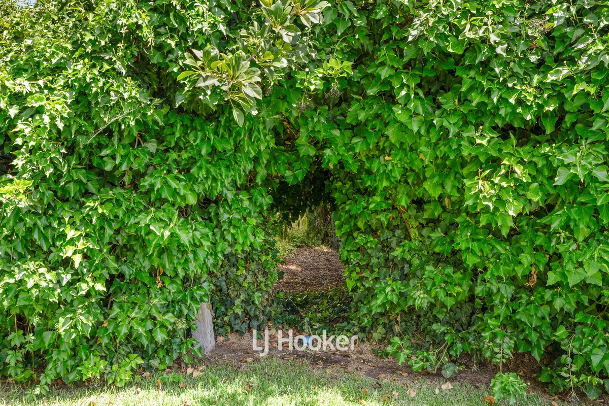 Image 13
