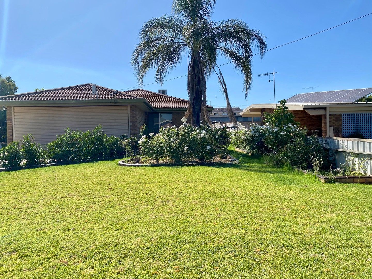 4 bedrooms House in 131 Erskine Road GRIFFITH NSW, 2680