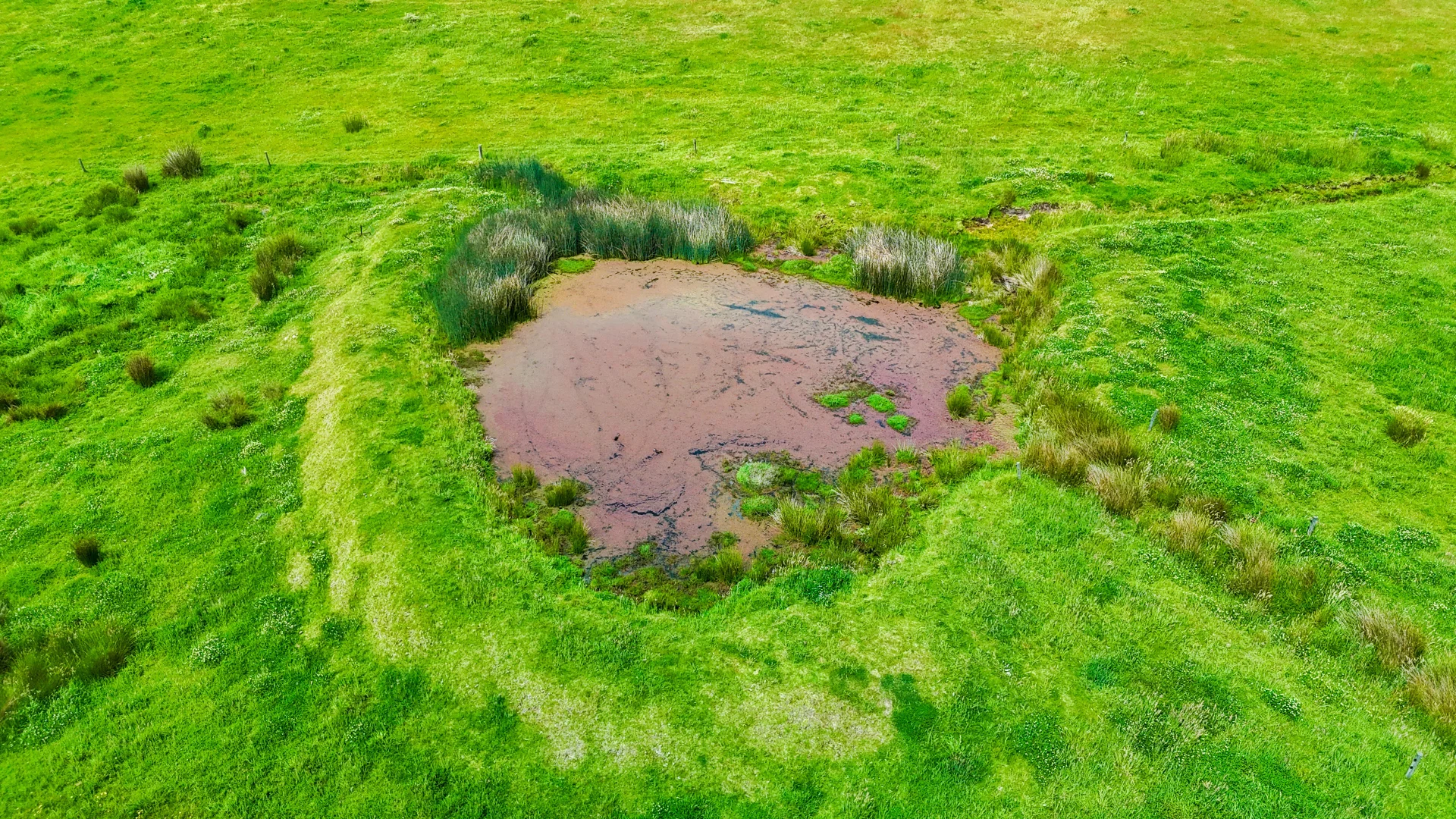 Image 18