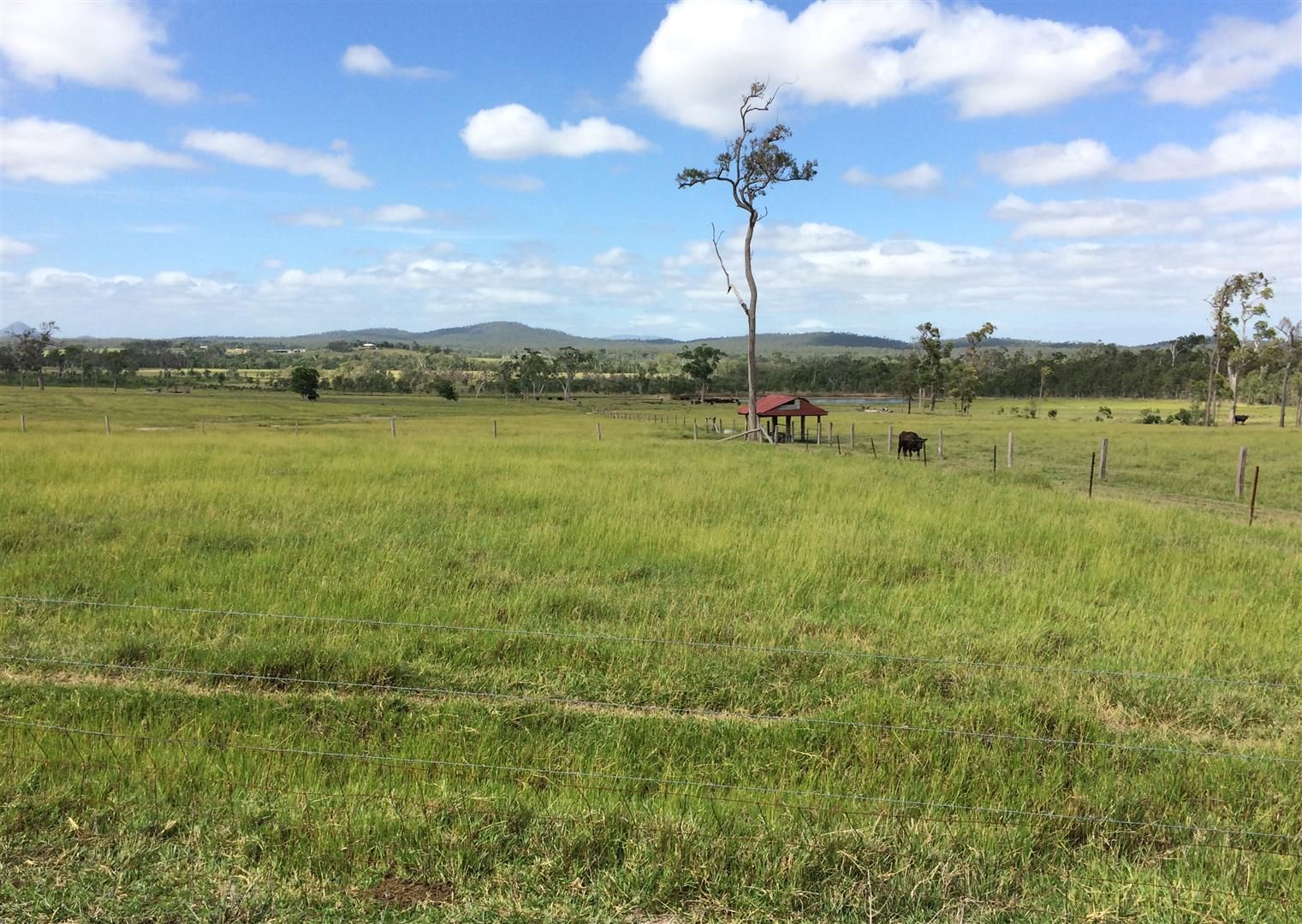 . Mount Rae Road, Bungundarra QLD 4703, Image 1