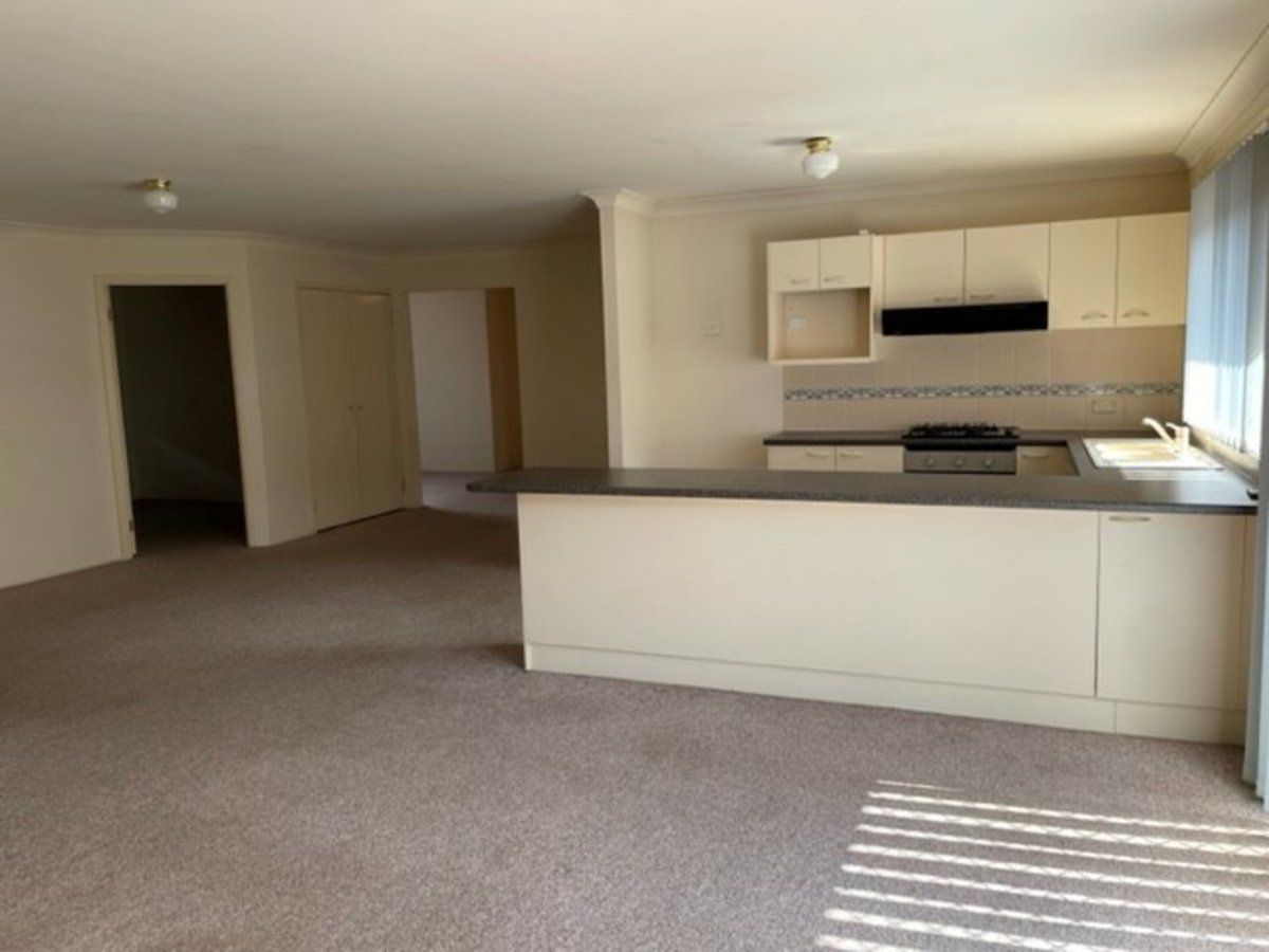 19 Pippen Street, Harrington Park NSW 2567 House For Rent Domain