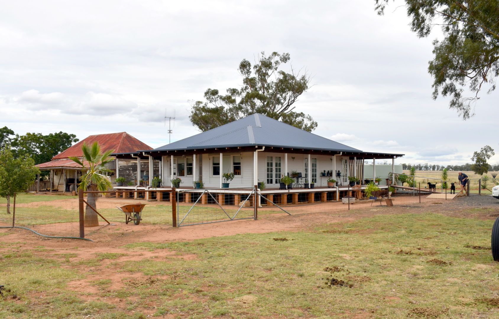 "Oakley Park"/4225 Newell Hwy, Balladoran NSW 2822 House for Sale