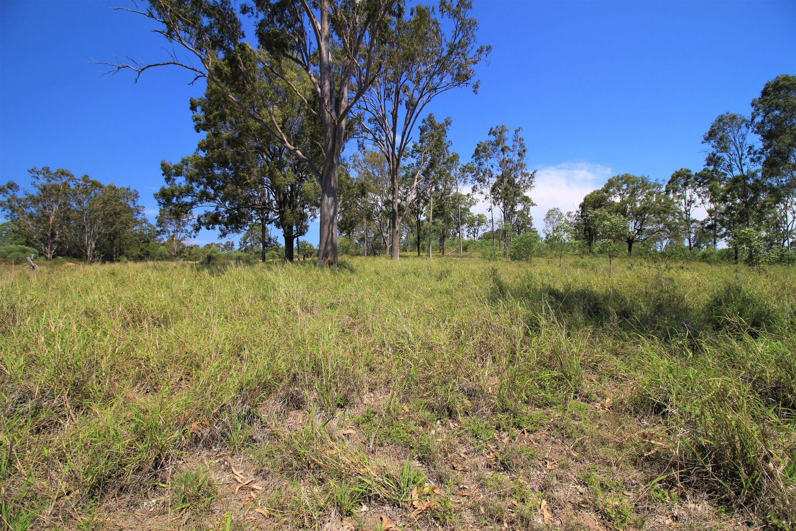 Lot 12 Brown Road, Wanora QLD 4306, Image 1