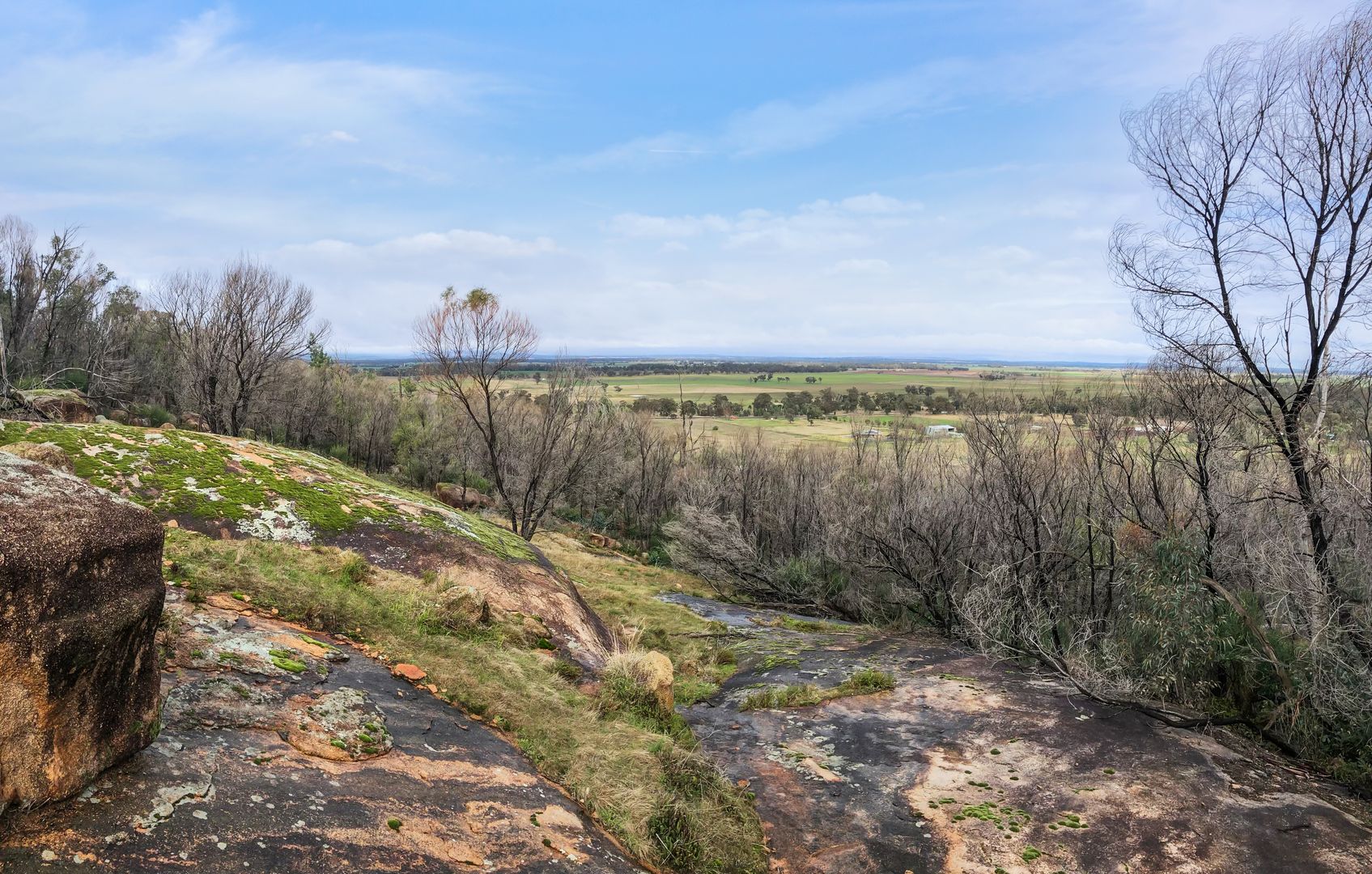 Lot 18 The Escort Way, Eugowra NSW 2806, Image 1