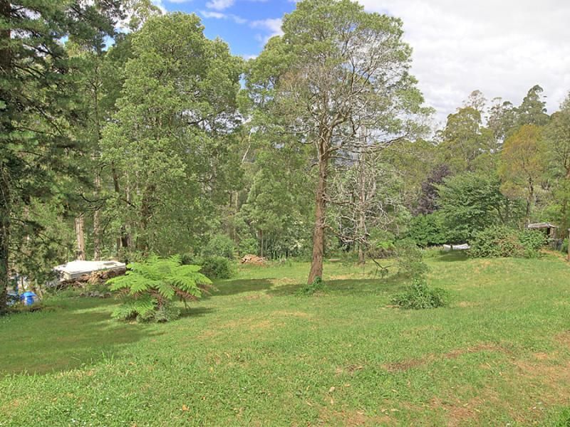 1313 Mount Dandenong-Tourist Road, KALORAMA VIC 3766, Image 2