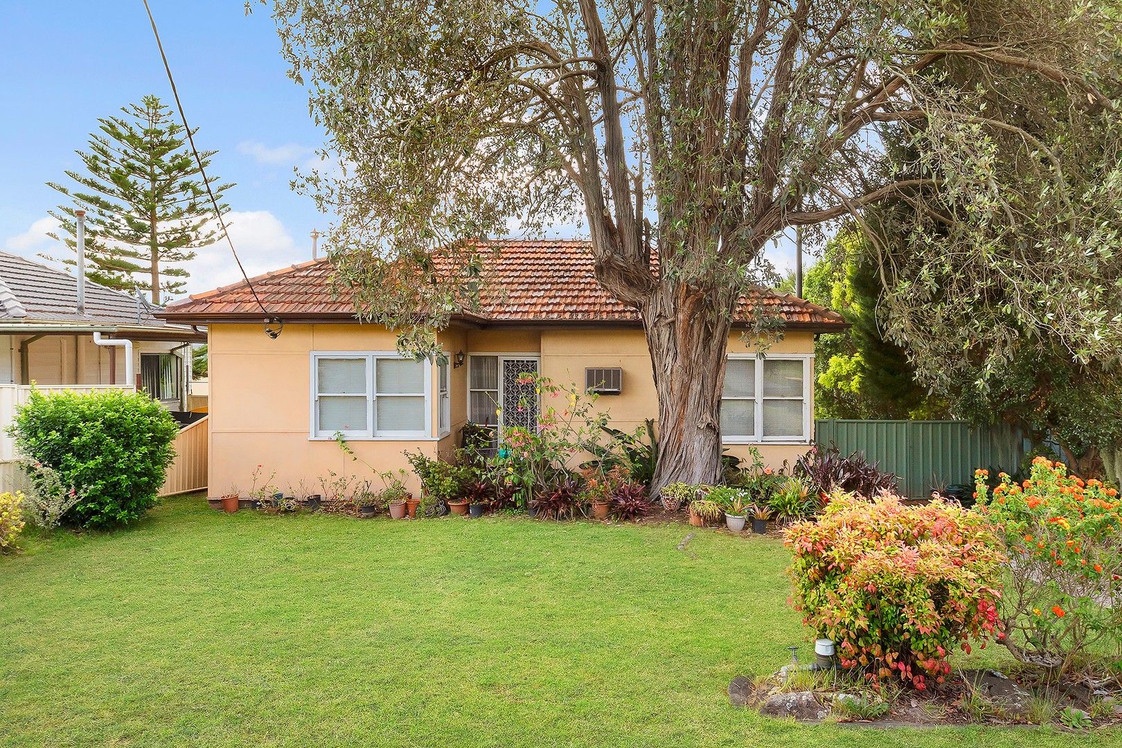 58 Farnsworth Avenue, Campbelltown NSW 2560, Image 0