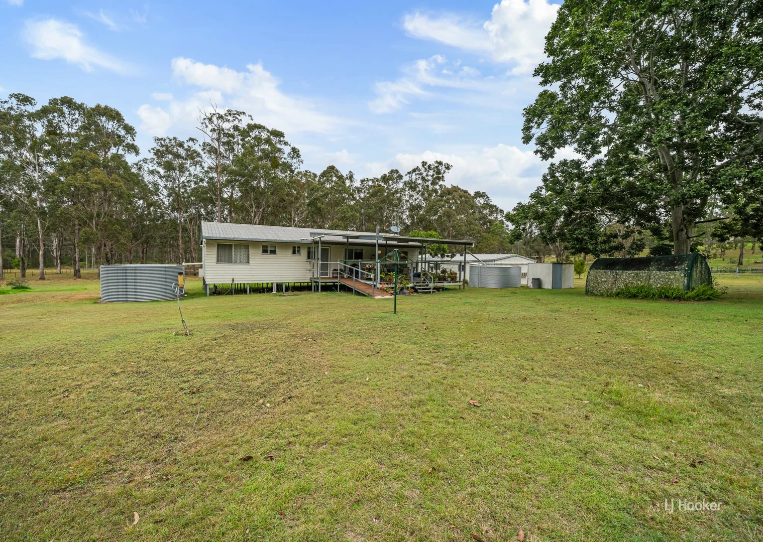 Image 11