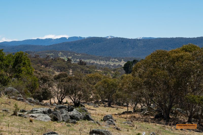 "Wildflower" Lot 27 Lovells Road via Mountain View Road, Moonbah NSW 2627, Image 0