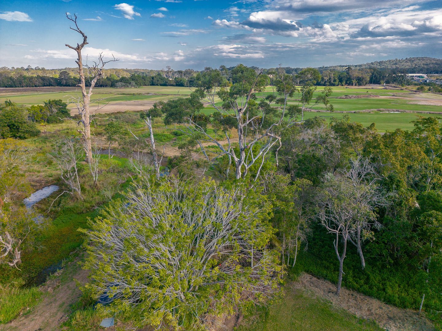 Palmview QLD 4553 Vacant Land for Sale Domain